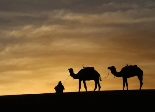 South Morocco Wonders: Kasbahs, Atlas Mountains & Gorges