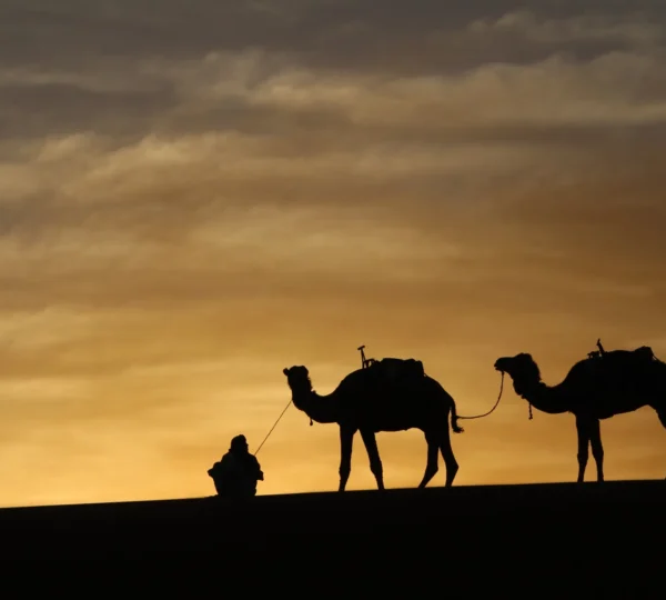 South Morocco Wonders: Kasbahs, Atlas Mountains & Gorges